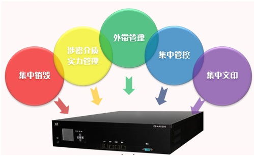 数据防泄 信息系统集成服务的关键任务