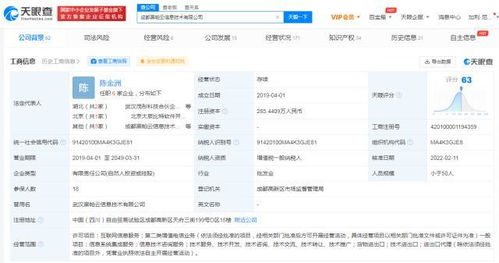 信息系统集成服务的全面解析与未来展望