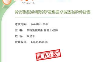 深圳信息系统集成项目管理工程师挂靠与信息系统集成服务解析